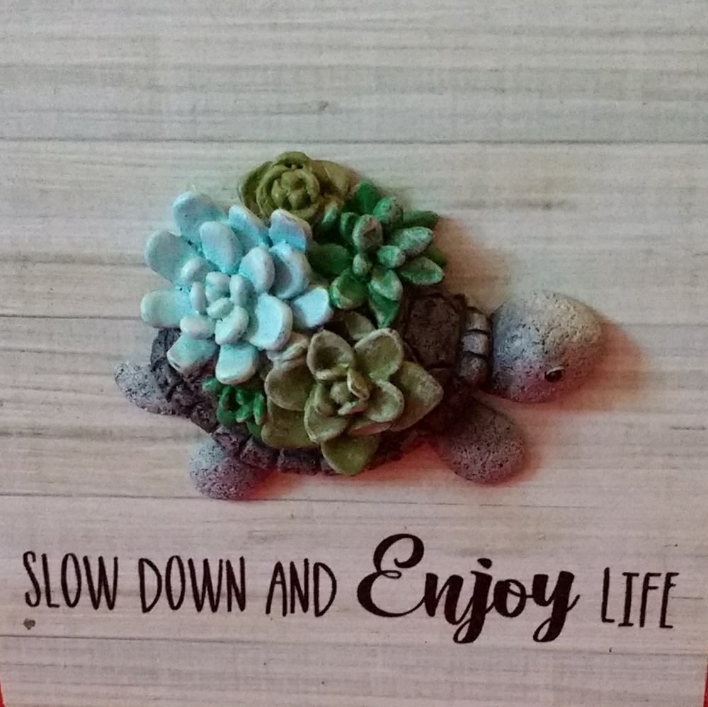 Decorative Wooden Plaque with 3D Turtle  - Slow Down And Enjoy Life
